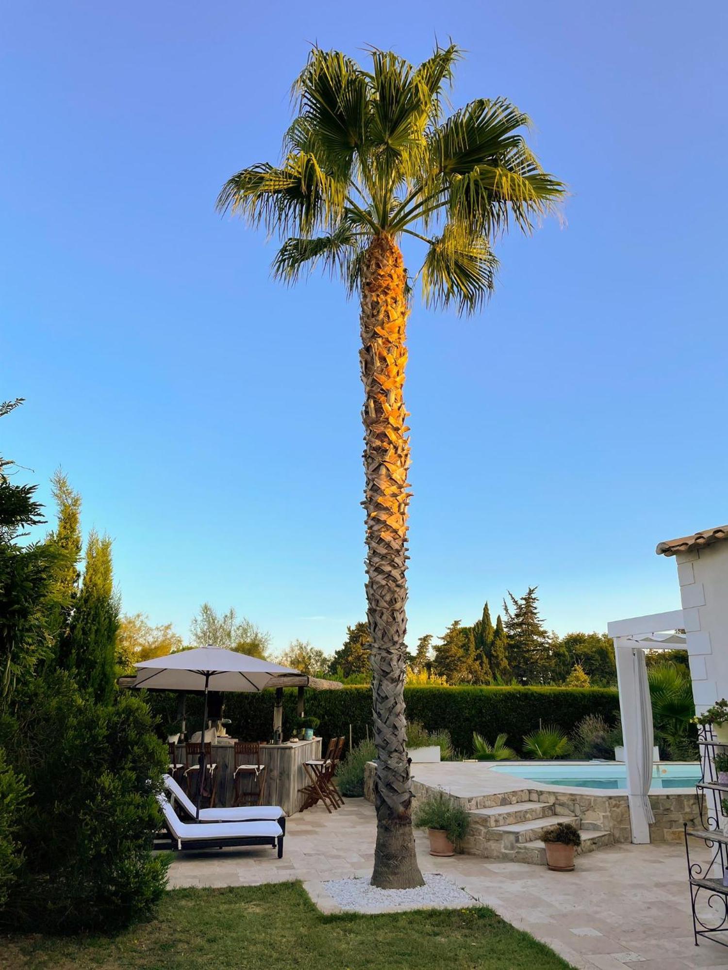 Aigues Marines住宿加早餐旅馆 外观 照片